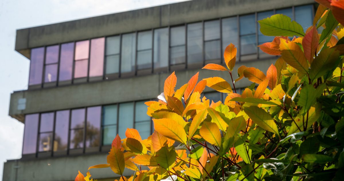 The Lasdun Wall